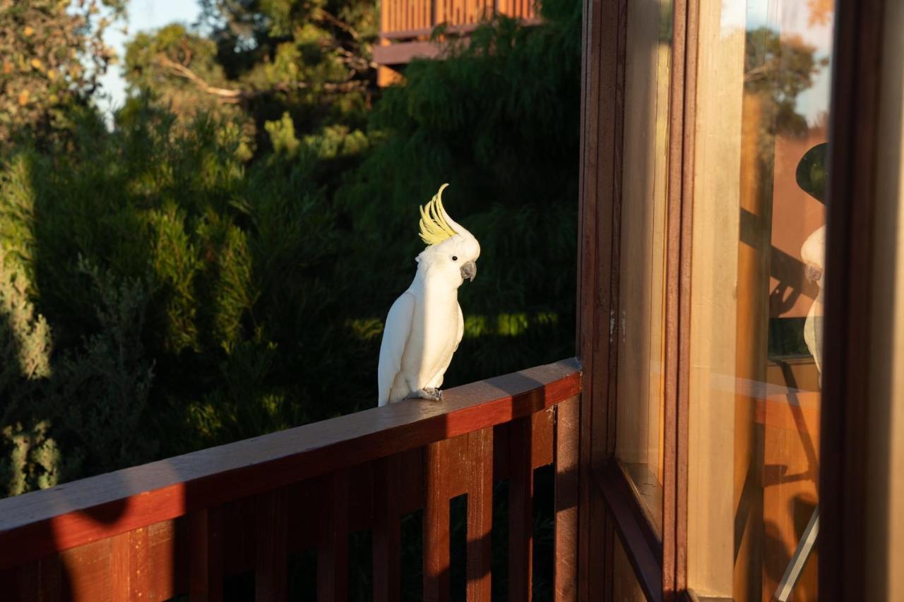 Kinoie Mornington - Oceanview Villa Mount Martha Luaran gambar